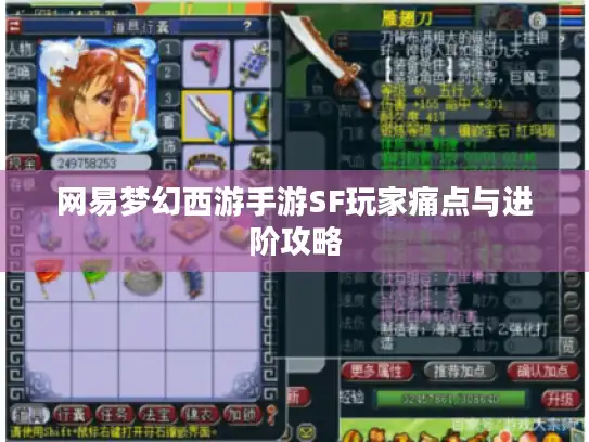 网易梦幻西游手游SF玩家痛点与进阶攻略 网易梦幻西游手游SF玩家痛点与进阶攻略