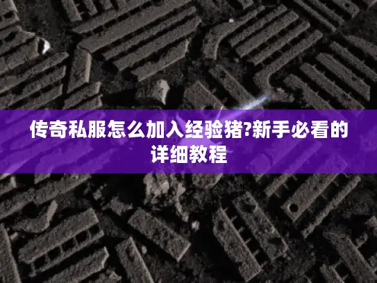 传奇私服怎么加入经验猪?新手必看的详细教程