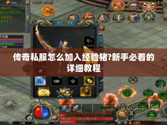 传奇私服怎么加入经验猪?新手必看的详细教程