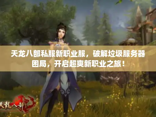 天龙八部私服新职业服，破解垃圾服务器困局，开启超爽新职业之旅！