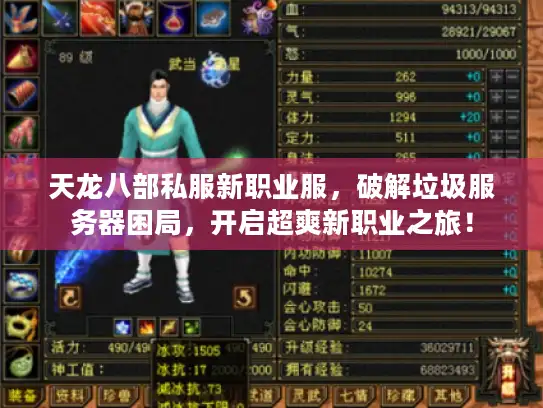 天龙八部私服新职业服，破解垃圾服务器困局，开启超爽新职业之旅！