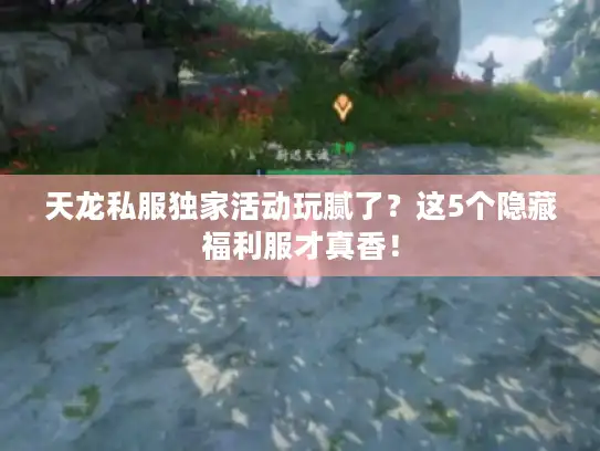 天龙私服独家活动玩腻了？这5个隐藏福利服才真香！