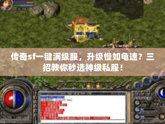 传奇sf一键满级服，升级慢如龟速？三招教你秒选神级私服！