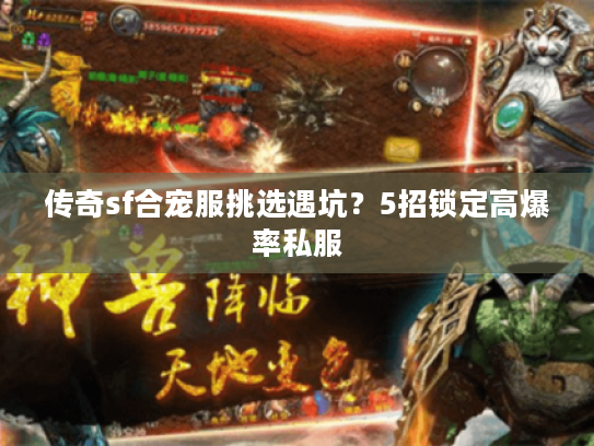 传奇sf合宠服挑选遇坑？5招锁定高爆率私服