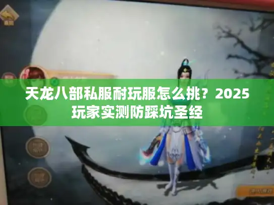 天龙八部私服耐玩服怎么挑？2025玩家实测防踩坑圣经