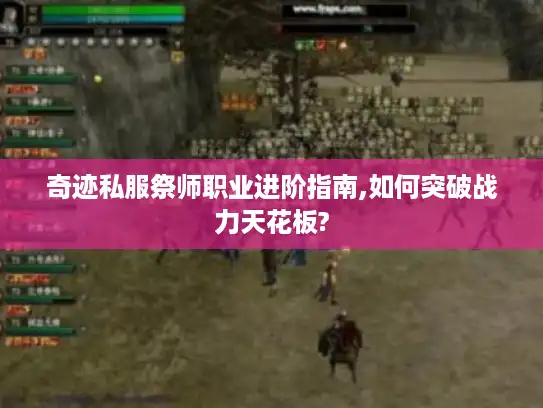 奇迹私服祭师职业进阶指南,如何突破战力天花板?