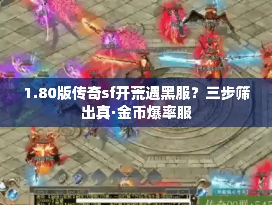 1.80版传奇sf开荒遇黑服？三步筛出真·金币爆率服