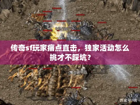 传奇sf玩家痛点直击,独家活动怎么挑才不踩坑? 传奇sf玩家痛点直击,独家活动怎么挑才不踩坑?