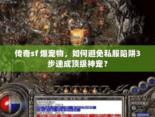传奇sf 爆宠物，如何避免私服陷阱3步速成顶级神宠？