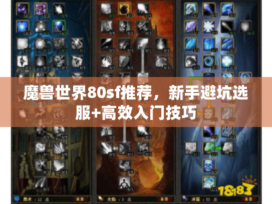 魔兽世界80sf推荐，新手避坑选服+高效入门技巧