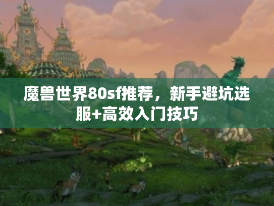 魔兽世界80sf推荐，新手避坑选服+高效入门技巧