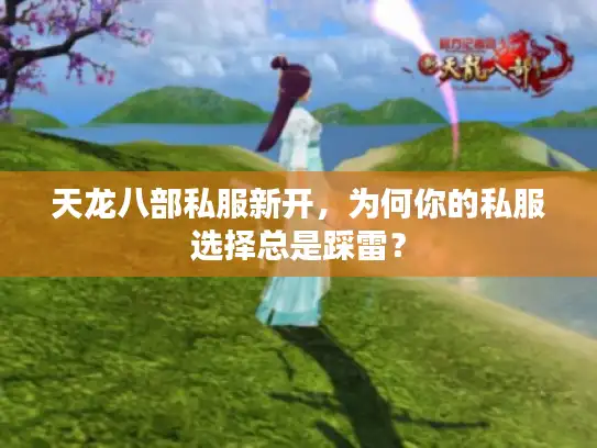 天龙八部私服新开,为何你的私服选择总是踩雷? 天龙八部私服新开,为何你的私服选择总是踩雷?