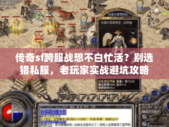 传奇sf跨服战想不白忙活?别选错私服,老玩家实战避坑攻略 传奇sf跨服战想不白忙活?别选错私服,老玩家实战避坑攻略