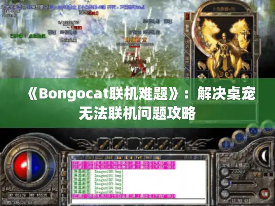 《Bongocat联机难题》：解决桌宠无法联机问题攻略