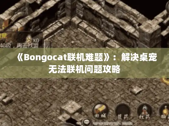 《Bongocat联机难题》：解决桌宠无法联机问题攻略