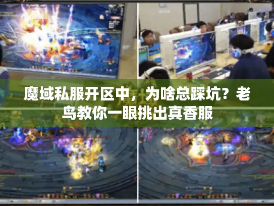 魔域私服开区中，为啥总踩坑？老鸟教你一眼挑出真香服