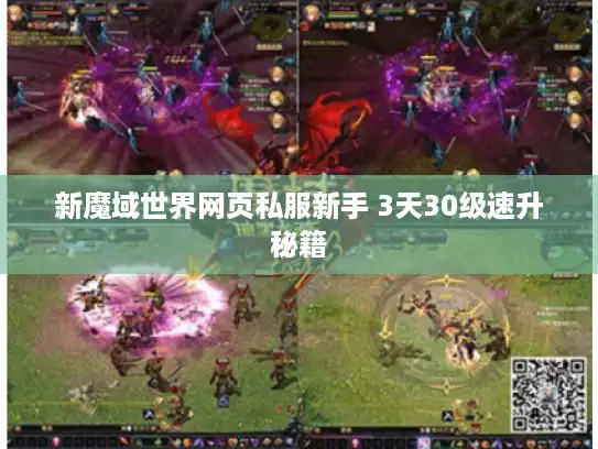 新魔域世界网页私服新手 3天30级速升秘籍