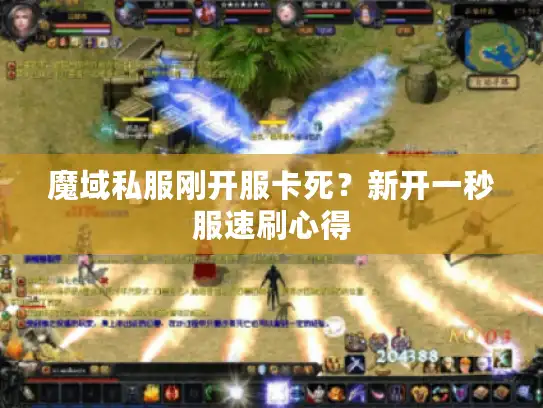 魔域私服刚开服卡死?新开一秒服速刷心得 魔域私服刚开服卡死?新开一秒服速刷心得