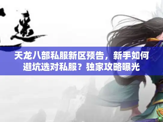 天龙八部私服新区预告，新手如何避坑选对私服？独家攻略曝光