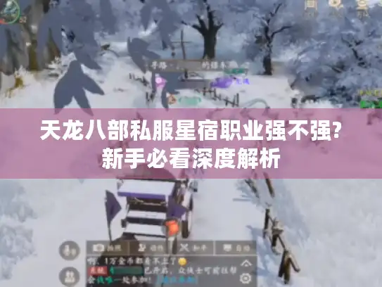 天龙八部私服星宿职业强不强?新手必看深度解析