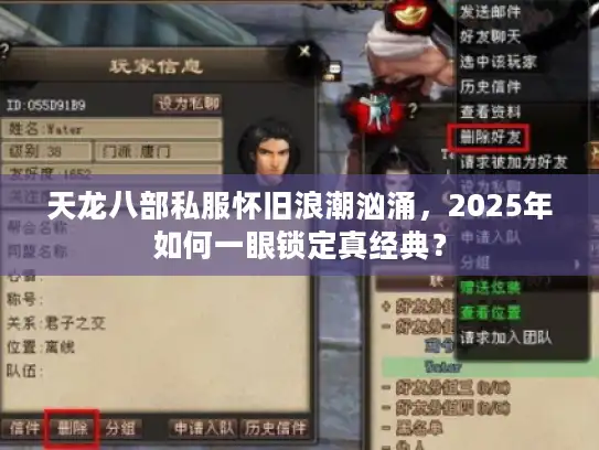 天龙八部私服怀旧浪潮汹涌，2025年如何一眼锁定真经典？