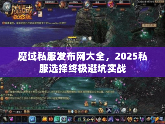 魔域私服发布网大全,2025私服选择终极避坑实战 魔域私服发布网大全,2025私服选择终极避坑实战