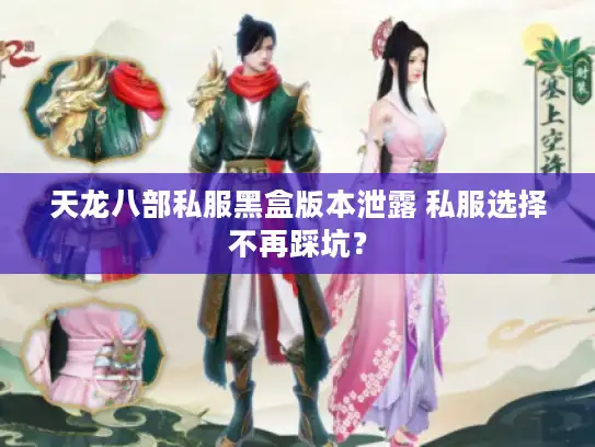 天龙八部私服黑盒版本泄露 私服选择不再踩坑? 天龙八部私服黑盒版本泄露 私服选择不再踩坑?