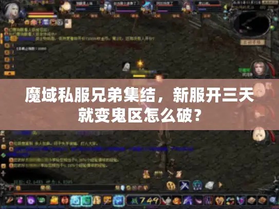 魔域私服兄弟集结，新服开三天就变鬼区怎么破？