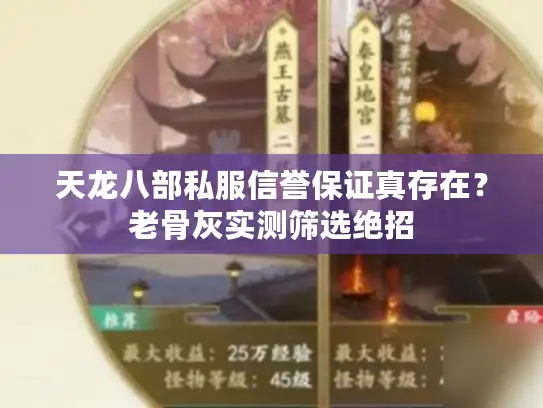 天龙八部私服信誉保证真存在?老骨灰实测筛选绝招 天龙八部私服信誉保证真存在?老骨灰实测筛选绝招