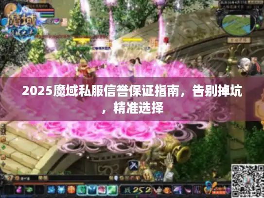 2025魔域私服信誉保证指南，告别掉坑，精准选择