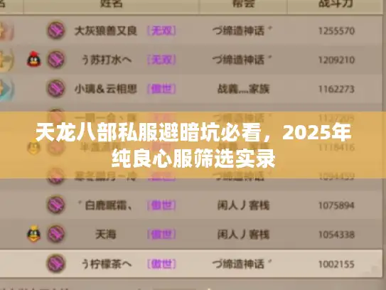 天龙八部私服避暗坑必看,2025年纯良心服筛选实录 天龙八部私服避暗坑必看,2025年纯良心服筛选实录
