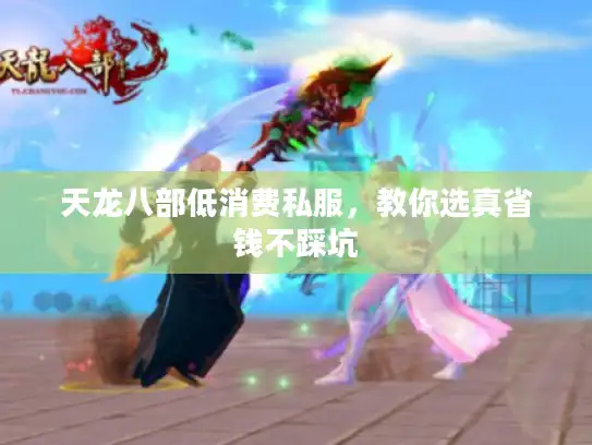 天龙八部低消费私服,教你选真省钱不踩坑 天龙八部低消费私服,教你选真省钱不踩坑