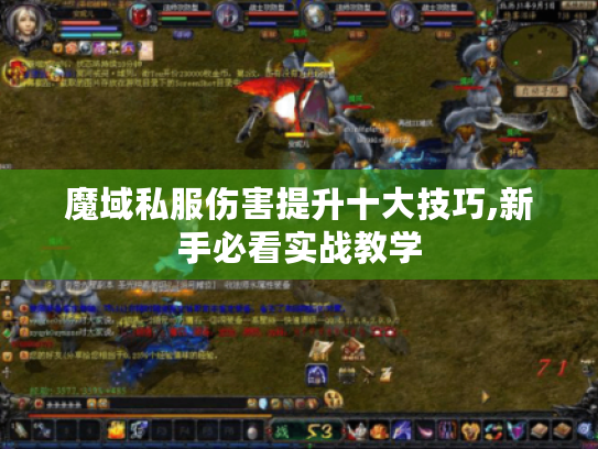 魔域私服伤害提升十大技巧,新手必看实战教学