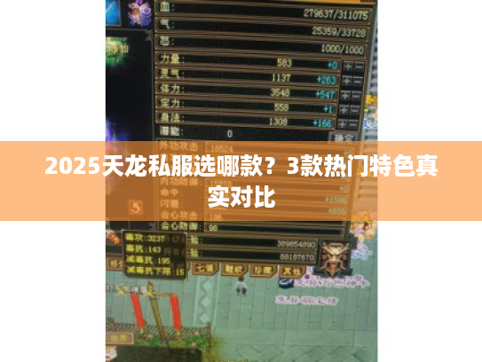 2025天龙私服选哪款?3款热门特色真实对比 2025天龙私服选哪款?3款热门特色真实对比