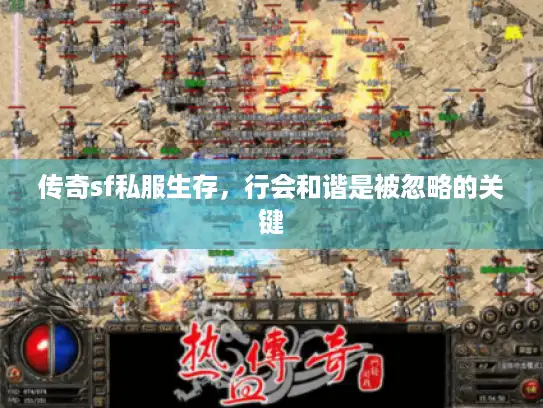 传奇sf私服生存,行会和谐是被忽略的关键 传奇sf私服生存,行会和谐是被忽略的关键