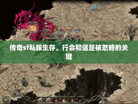 传奇sf私服生存,行会和谐是被忽略的关键 传奇sf私服生存,行会和谐是被忽略的关键