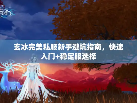 玄冰完美私服新手避坑指南，快速入门+稳定服选择