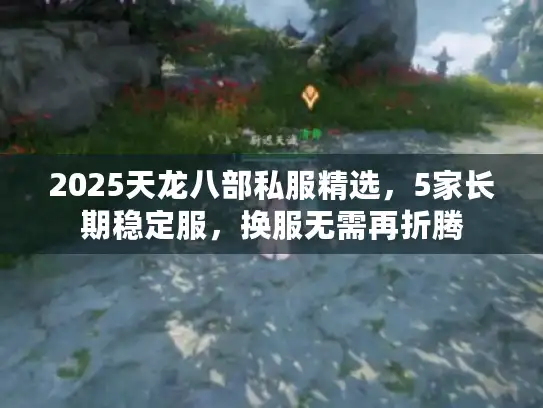 2025天龙八部私服精选，5家长期稳定服，换服无需再折腾