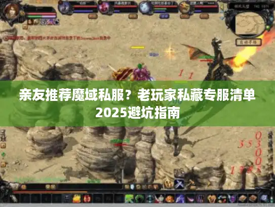 亲友推荐魔域私服?老玩家私藏专服清单2025避坑指南 亲友推荐魔域私服?老玩家私藏专服清单2025避坑指南