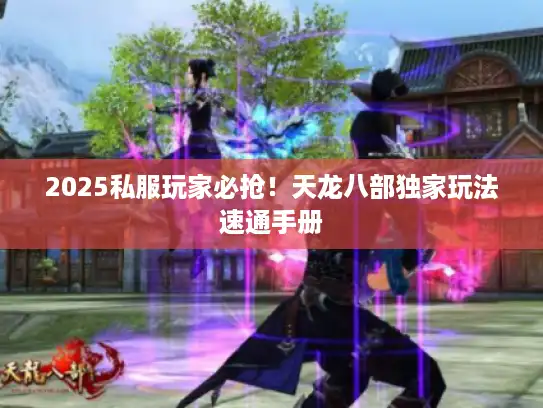 2025私服玩家必抢！天龙八部独家玩法速通手册