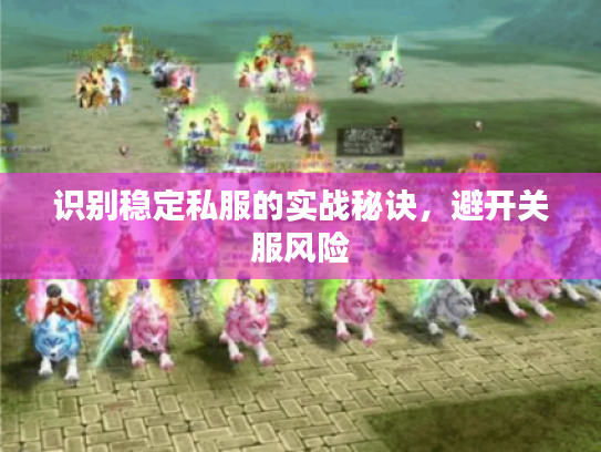 识别稳定私服的实战秘诀,避开关服风险 识别稳定私服的实战秘诀,避开关服风险