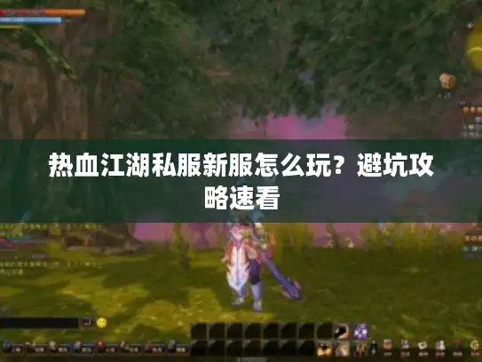 热血江湖私服新服怎么玩？避坑攻略速看