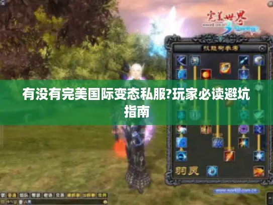 有没有完美国际变态私服?玩家必读避坑指南