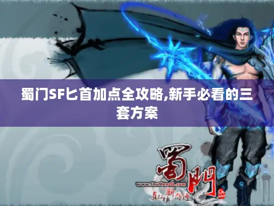 蜀门SF匕首加点全攻略,新手必看的三套方案