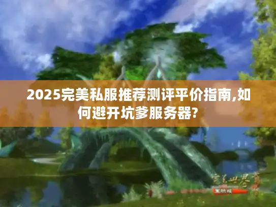 2025完美私服推荐测评平价指南,如何避开坑爹服务器? 2025完美私服推荐测评平价指南,如何避开坑爹服务器?
