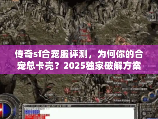 传奇sf合宠服评测，为何你的合宠总卡壳？2025独家破解方案