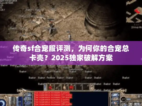 传奇sf合宠服评测，为何你的合宠总卡壳？2025独家破解方案