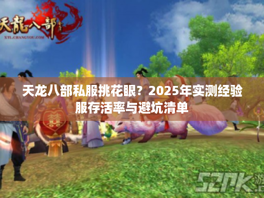 天龙八部私服挑花眼？2025年实测经验服存活率与避坑清单