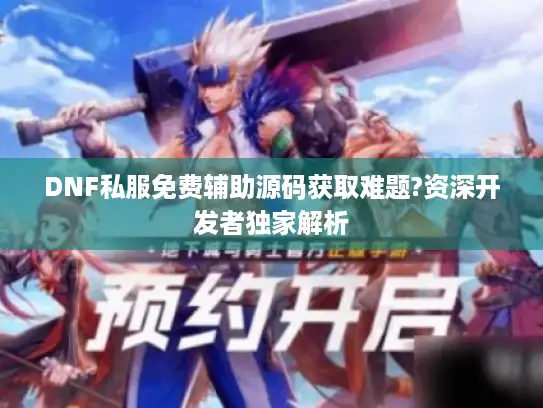 DNF私服免费辅助源码获取难题?资深开发者独家解析