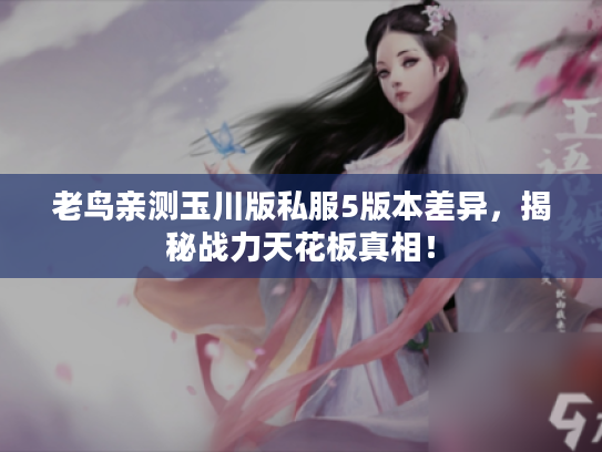 老鸟亲测玉川版私服5版本差异，揭秘战力天花板真相！